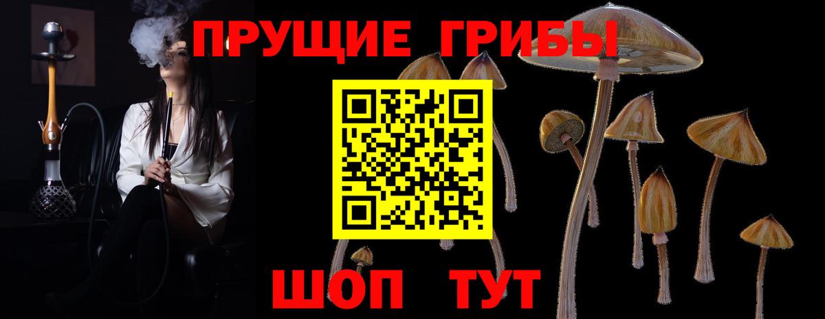 Галлюциногенные грибы Magic Shrooms Глазов